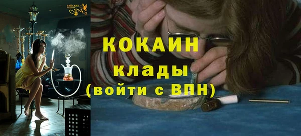 молекула духа Няндома