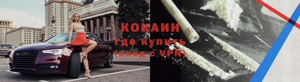 молекула духа Няндома
