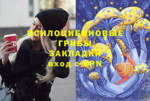 соль курить ск Нязепетровск
