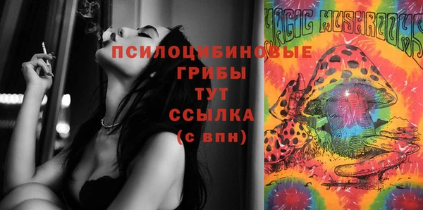 молекула духа Няндома