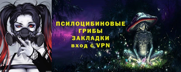 молекула духа Няндома
