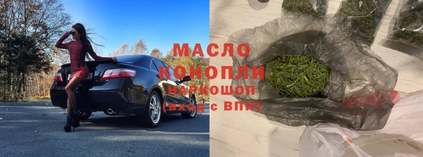молекула духа Няндома