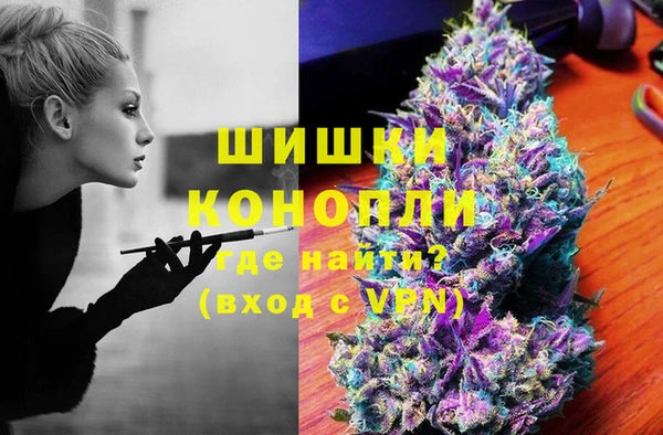 молекула духа Няндома